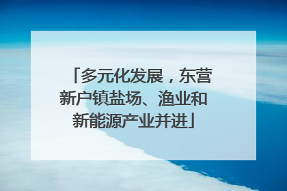 多元化发展，东营新户镇盐场、渔业和新能源产业并进