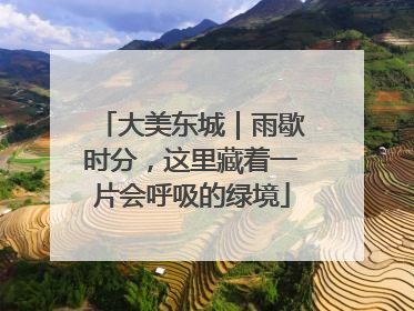 大美东城｜雨歇时分，这里藏着一片会呼吸的绿境