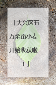 大兴区五万余亩小麦开始收获啦！
