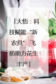 大悟：科技赋能“新农具” 飞防助力花生丰产