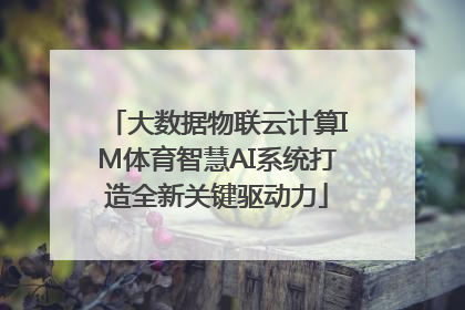 大数据物联云计算IM体育智慧AI系统打造全新关键驱动力