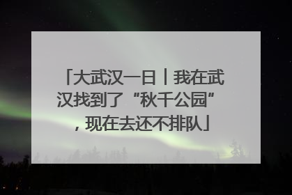 大武汉一日︱我在武汉找到了“秋千公园”，现在去还不排队