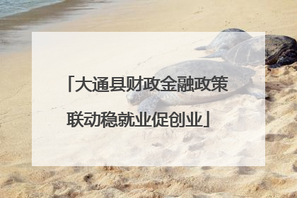 大通县财政金融政策联动稳就业促创业