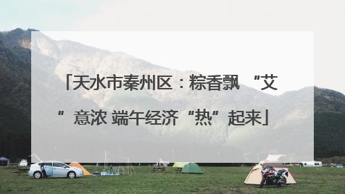 天水市秦州区：粽香飘 “艾”意浓 端午经济“热”起来