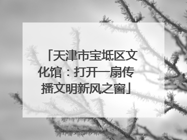 天津市宝坻区文化馆：打开一扇传播文明新风之窗