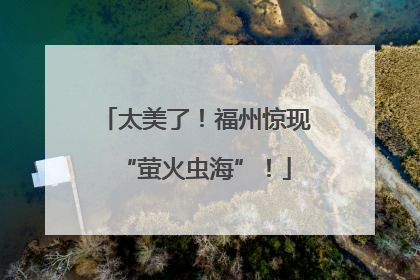 太美了！福州惊现“萤火虫海”！