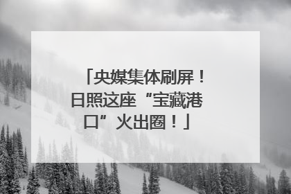 央媒集体刷屏！日照这座“宝藏港口”火出圈！