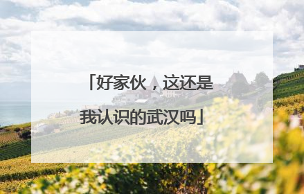 好家伙，这还是我认识的武汉吗
