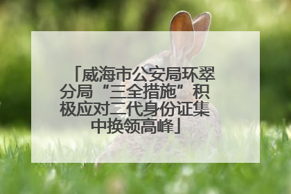 威海市公安局环翠分局“三全措施”积极应对二代身份证集中换领高峰