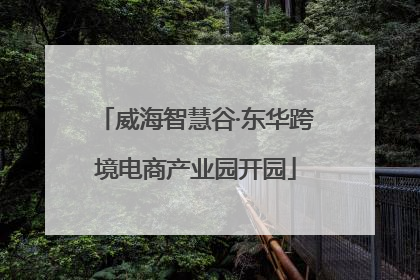 威海智慧谷·东华跨境电商产业园开园