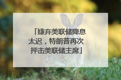 嫌弃美联储降息太迟，特朗普再次抨击美联储主席