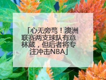 心无旁骛！澳洲联赛两支球队有意林葳，但后者将专注冲击NBA