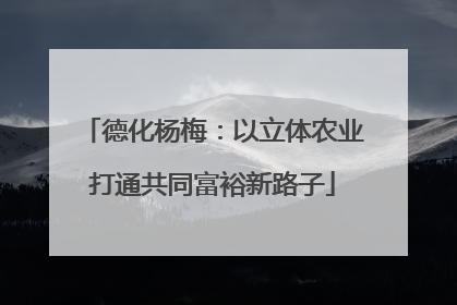 德化杨梅：以立体农业打通共同富裕新路子