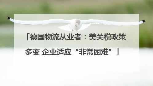 德国物流从业者：美关税政策多变 企业适应“非常困难”