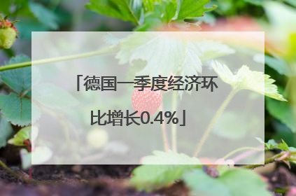 德国一季度经济环比增长0.4%