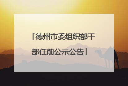 德州市委组织部干部任前公示公告