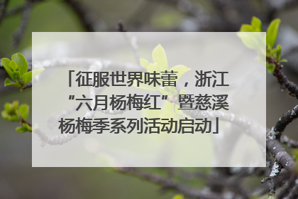 征服世界味蕾，浙江“六月杨梅红”暨慈溪杨梅季系列活动启动