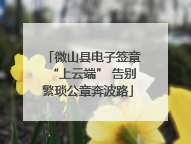 微山县电子签章“上云端” 告别繁琐公章奔波路