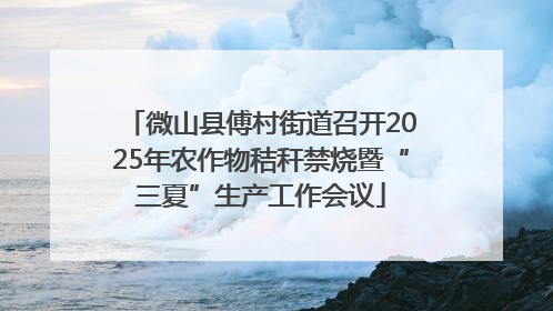 微山县傅村街道召开2025年农作物秸秆禁烧暨“三夏”生产工作会议