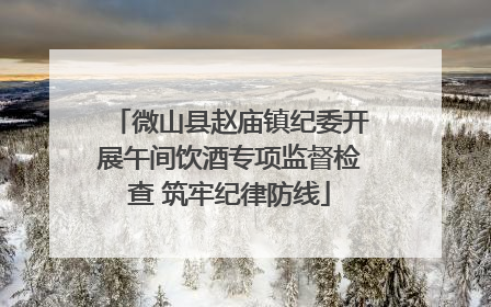微山县赵庙镇纪委开展午间饮酒专项监督检查 筑牢纪律防线