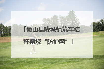微山县驩城镇筑牢秸秆禁烧“防护网”