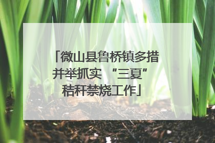 微山县鲁桥镇多措并举抓实 “三夏” 秸秆禁烧工作