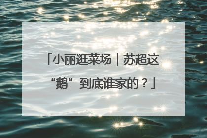小丽逛菜场｜苏超这“鹅”到底谁家的？