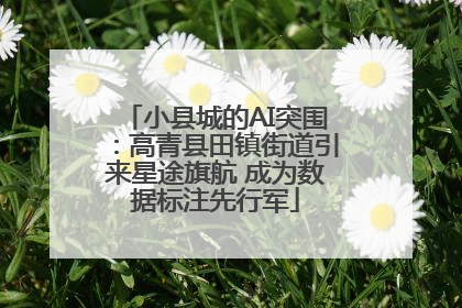小县城的AI突围：高青县田镇街道引来星途旗航 成为数据标注先行军
