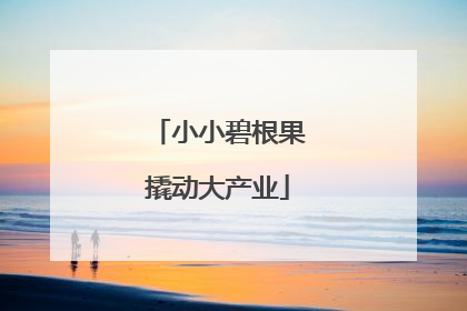小小碧根果撬动大产业