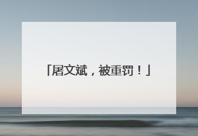 屠文斌，被重罚！