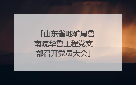 山东省地矿局鲁南院华鲁工程党支部召开党员大会