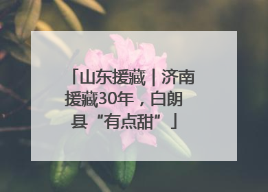 山东援藏｜济南援藏30年，白朗县“有点甜”