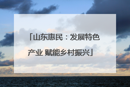 山东惠民：发展特色产业 赋能乡村振兴