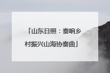 山东日照：奏响乡村振兴山海协奏曲
