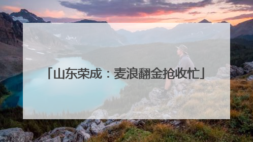 山东荣成：麦浪翻金抢收忙
