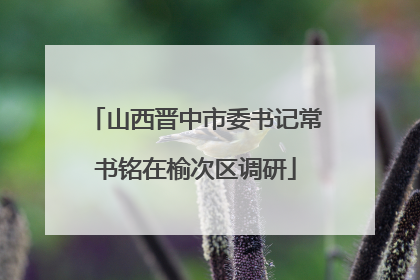 山西晋中市委书记常书铭在榆次区调研