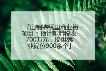 山钢锦绣里商业街项目：预计新增税收700万元，提供就业岗位900余个