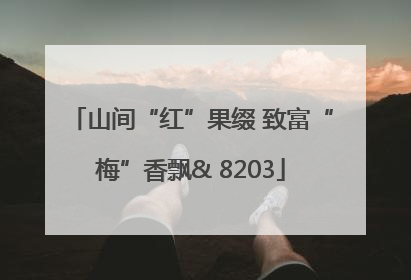山间“红”果缀 致富“梅”香飘& 8203