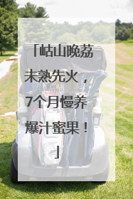 岵山晚荔未熟先火，7个月慢养爆汁蜜果！