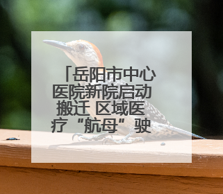 岳阳市中心医院新院启动搬迁 区域医疗“航母”驶向新高地