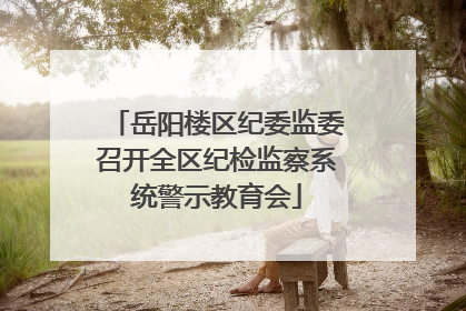 岳阳楼区纪委监委召开全区纪检监察系统警示教育会