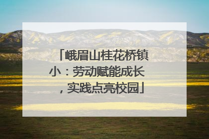 峨眉山桂花桥镇小：劳动赋能成长，实践点亮校园