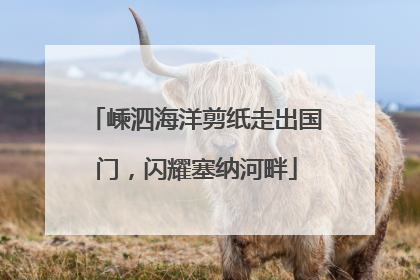 嵊泗海洋剪纸走出国门，闪耀塞纳河畔