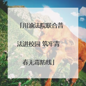 川渝法院联合普法进校园 筑牢青春无毒防线