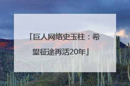 巨人网络史玉柱：希望征途再活20年