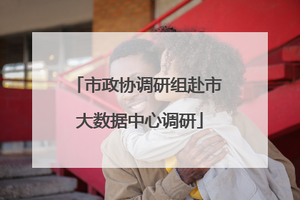 市政协调研组赴市大数据中心调研