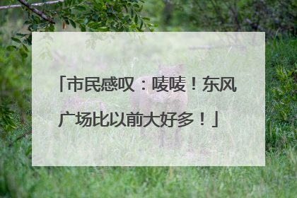 市民感叹：唛唛！东风广场比以前大好多！