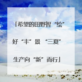希望的田野智“绘”好“丰”景 “三夏”生产向“新”而行