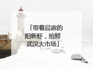 带着晨露的阳新虾，抢鲜武汉大市场
