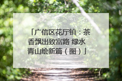广信区花厅镇：茶香飘出致富路 绿水青山绘新篇（图）
